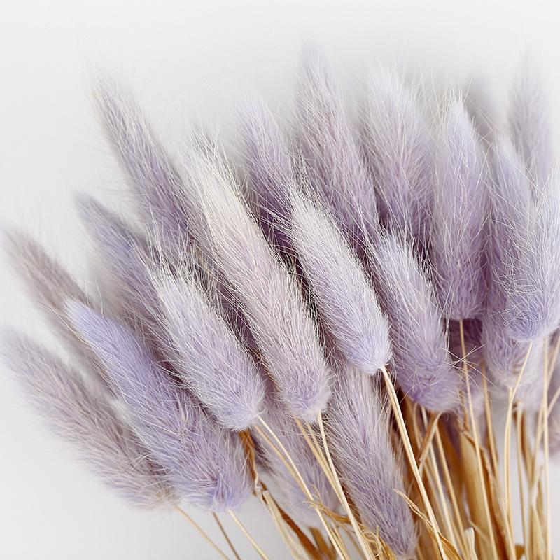 

50 Pcs Dried Flower Grass Decoration Photography Props for Home Store Wedding KSI9991, Light brown