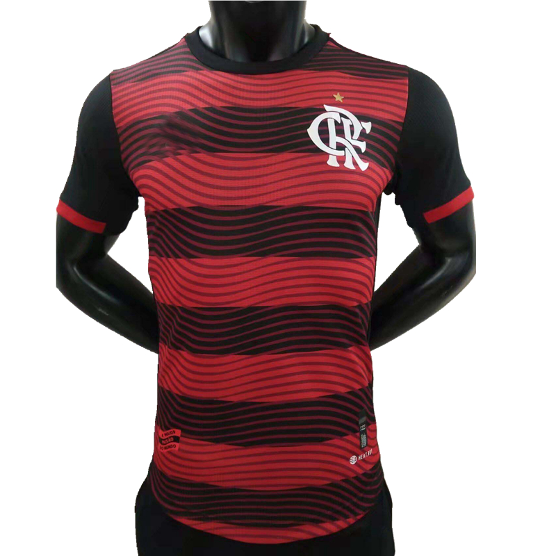 

2021 2022 2023 CR Flamengo Player version Soccer Jerseys DE ARRASCAETA E.RIBEIRO GABI B.HENRIQUE DAVID LUIZ DIEGO 21 22 23 football tight shirt, Player version yellow