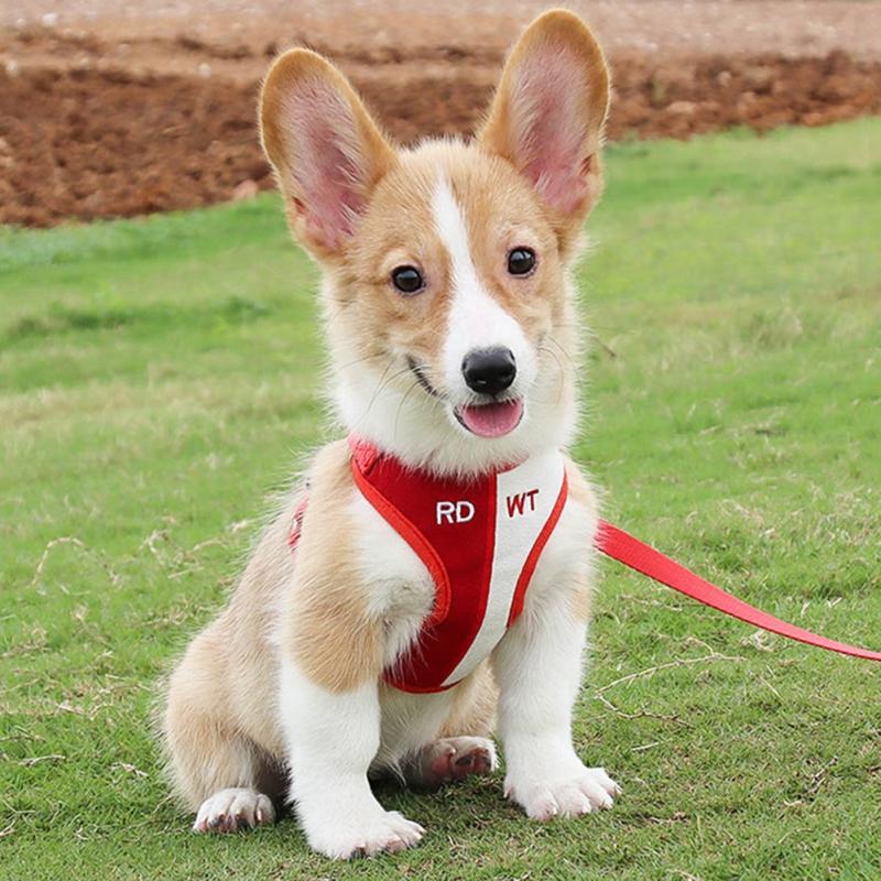 

Pet Harness Hand Holding Rope Breathable Comfortable Durable Wearable and Trendy Solid Color Pet Cat Dog Supplies