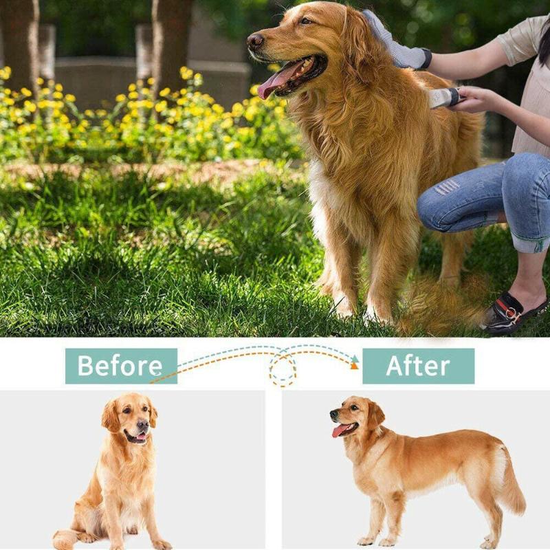 

Professional Pet electric clippers for cats and dogs with USB charging Dog hair trimmer Cutter Grooming Pets Hair Cut Machine