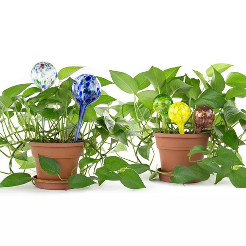 

Water Plants Indoor Plant Watering Globe Flower Automatic Watering Device Houseplant Plant Pot Bulb Globe Garden Water Bulb