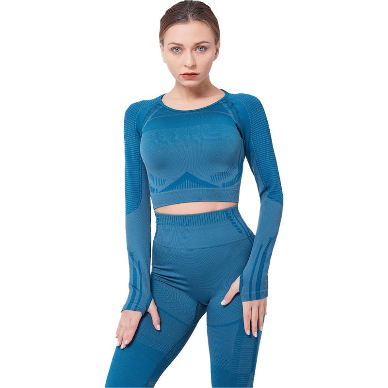 

2PCS Gym Set Women Exercise Yoga Suit Tight Navel Long Sleeve Top + Hip Lifting Elastic Fitness Pants Workout Set for Women, Black