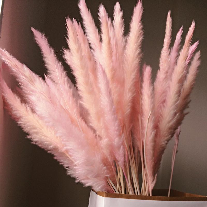 

15pcs Dried Flowers Pampas Phragmites Home Decor Bulrush Wedding Durable Natural Flower Bunch Communis Reed Small Bouquets Bunch, Brown