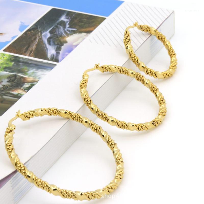 

High Quality Double Chain Earrings for Women Stainless Steel Gold European Punk Hoop Earrings With Charms Holiday Jewelry Gift1