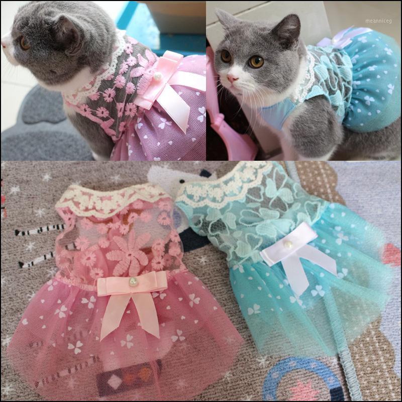 

Summer Cute Pet Cat Dress Fashion Lace Cat Clothes for Cats Kitten Kitty Dresses Casual Bow Tie Dog Skirt Cats Clothing for Pets1