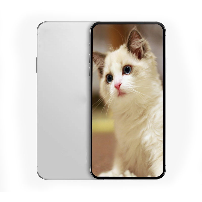 

6.1inch 12 Pay Link for Customers made Fee Changers Cost For Earphone And Phone, Black