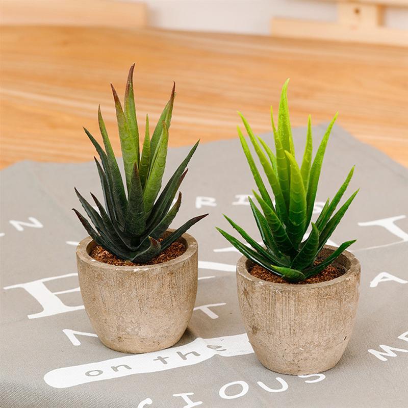 

2Pcs Simulated Succulent Plant Ornament Fake Plant Landscape Decors Ornaments Potted Flower Potted for School, As shown