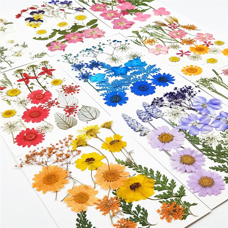 

1Bag Mixed Pressed Dried Flower For Face Sticker Tips Nail Cards Phone Case Make UP Jewelry Candle Fan Art DIY Craft Decor, Style 13