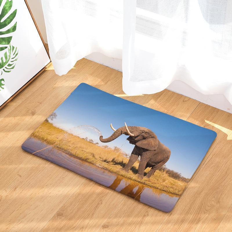 

Kid's Room Ancient Elephant Printing Door Mat Shower Room Kitchen Toilet Strip Water Uptake Non-slip Carpet Floor Mat Rugs1, 17