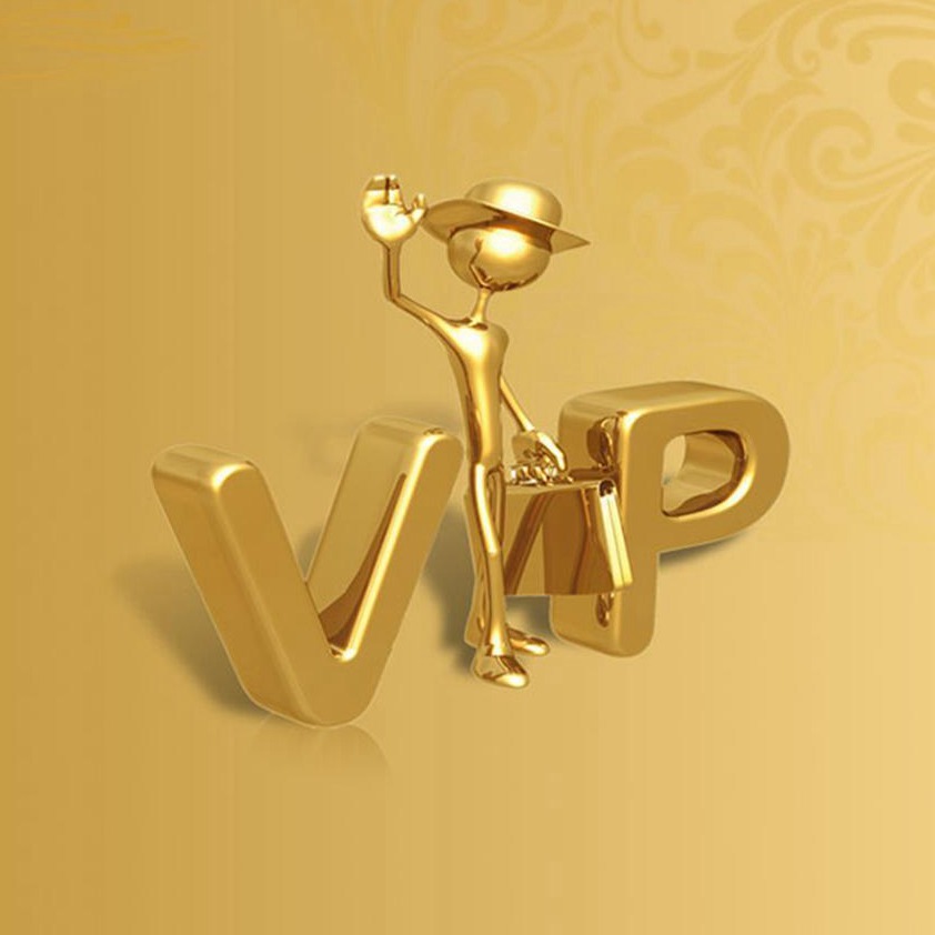 

Link to Pay ZZA Only For Specific Payment CYZ10000 VIP VIP, As pic