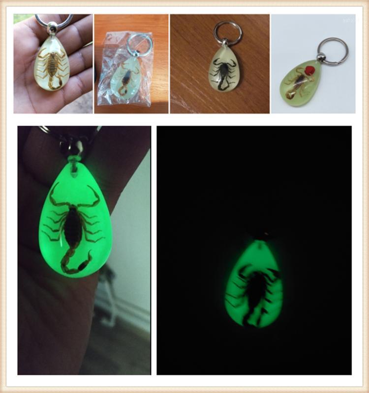 

Car Accessories Luminous Insect Epoxy Keychain Resin Tweezers for EfficientDynamics E46 E39 E38 E90 E60 E93 F30 F31 F80 M31