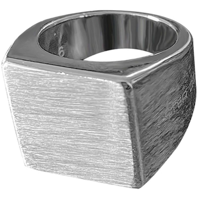 

Peter Brushed High-sensation Temperament Male and Female Trend Ring Lev8
