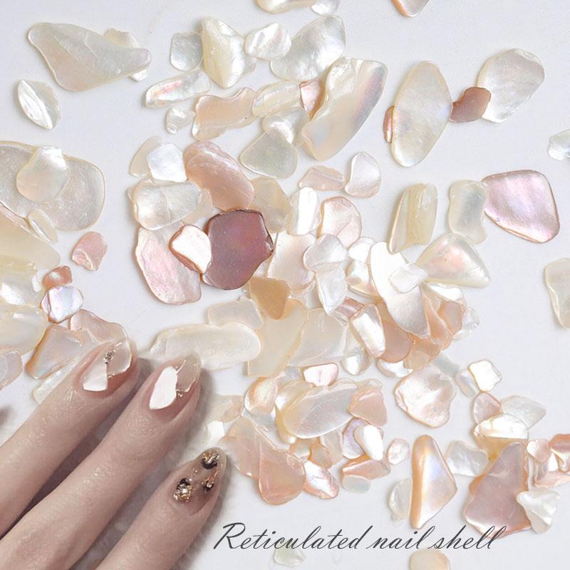 

HNUIX 1 Box Shell Stone Nails Art Glitter for Nail UV Gel Nail Polish Flakies Decoration Accessories