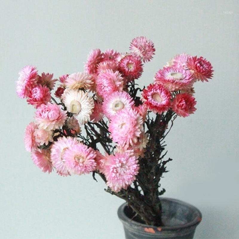 

Multicolor Daisy Dried Flowers Nordic Style Naturally Dried Bouquets Living Room DIY Decor Wedding Supplies Home Decoration1, Orange