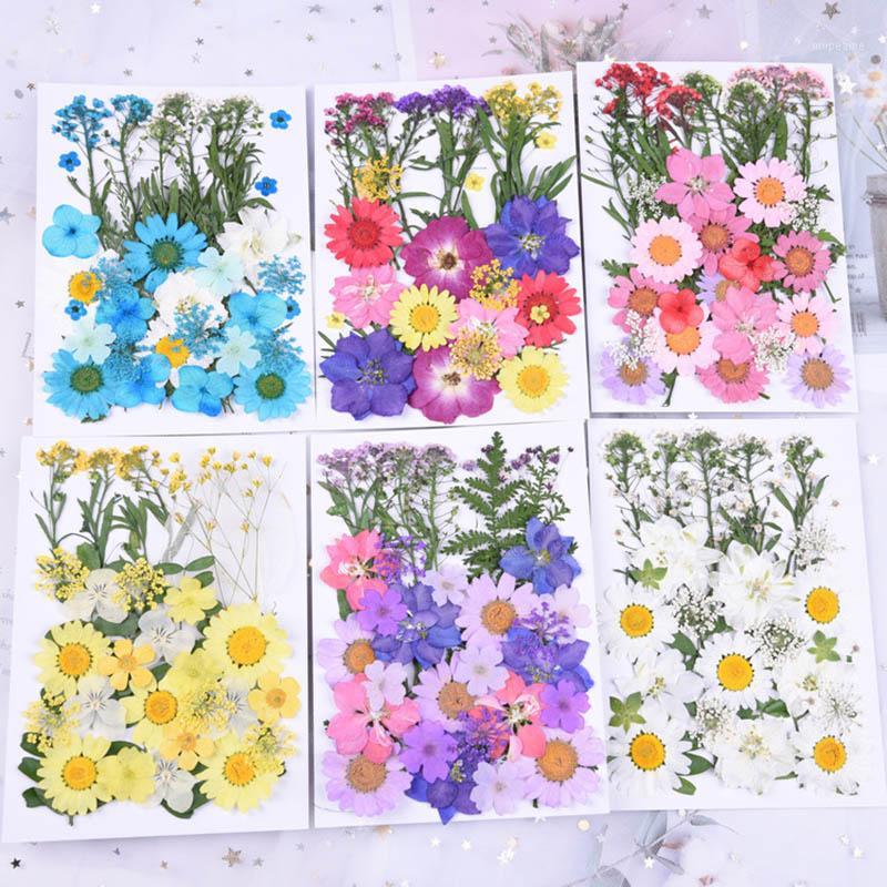 

small Dried Flowers Pressed Flowers DIY Preserved Flower Epoxy phone shell dry flower material Embossed face petal makeup1, 12