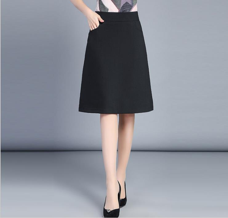 

Summer New Professional High-waisted Big Word Female Skirt Erwg, Brown
