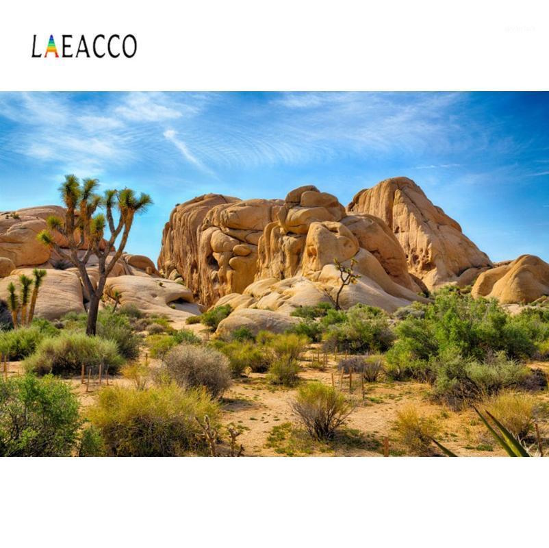 

Laeacco Natural Backdrops Desert Cactus Stone Piled Shrub Plant Cloud Scenic Photographic Backgrounds Photocall Photo Studio1