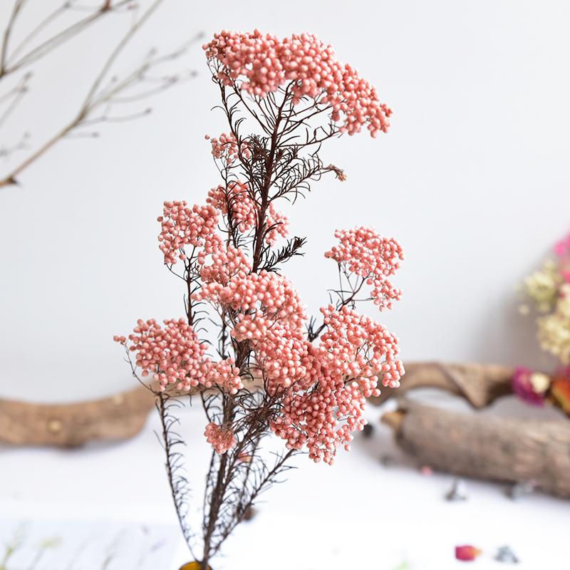 

25-30g Natural Dried Fresh Millet flower,Eternal Dry Flower ramillete Flores,Forever Flower Bouquet DIY Material,Wedding Decor, Black