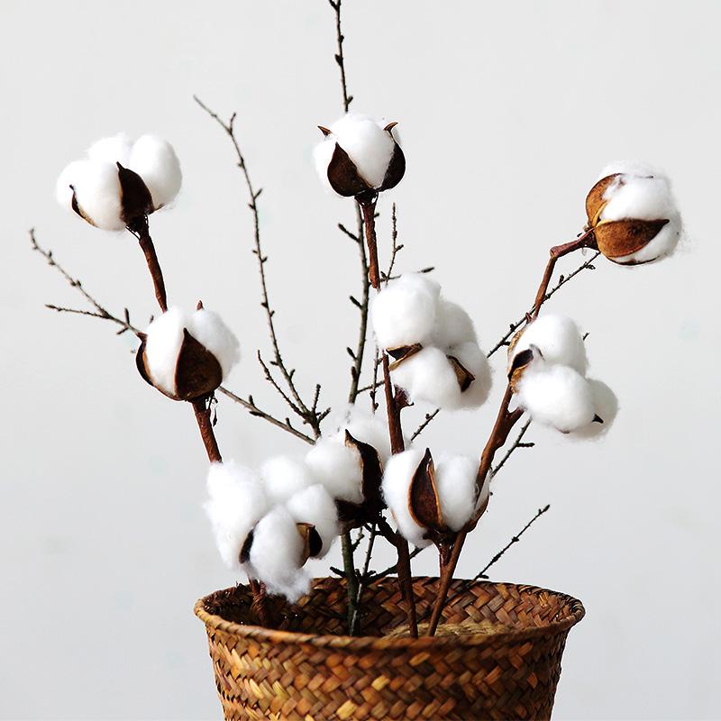 

5 Head Artificial Cotton Flowers Branch DIY Artificial Dried Flowers Wedding Decoration Party Home Hotel Decor, White