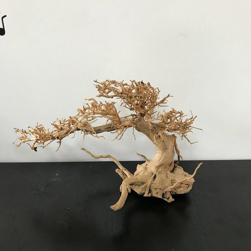 

DIY aquarium Bonsai tree
