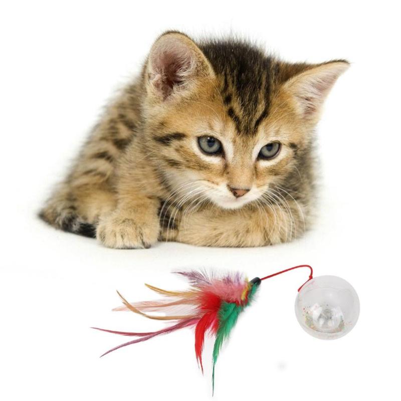 

Cat Vibrating Flashing Light Drawstring Feather Feather Tumbler Ball Toy Suitable For All Types Of Pets