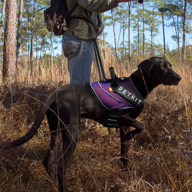 

PETKIT Outdoor Dog Harnesses Vest-style Dog Harness Night Reflective Golden Retriever Labrador Mid and Large Accessories