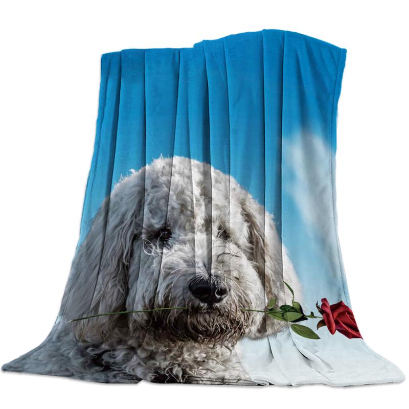 

Valentine Animal Pet Puppy Rose Blue Sky Sofa Blanket Bedroom Supplies Blanket Bedspread Quilt Boat