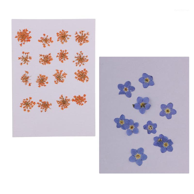 

Well Preserved Color And Shape Natural Pressed Dried Flowers For Resin Molding Decors Jewelry/Card Making Orange/ Purple1, As pic