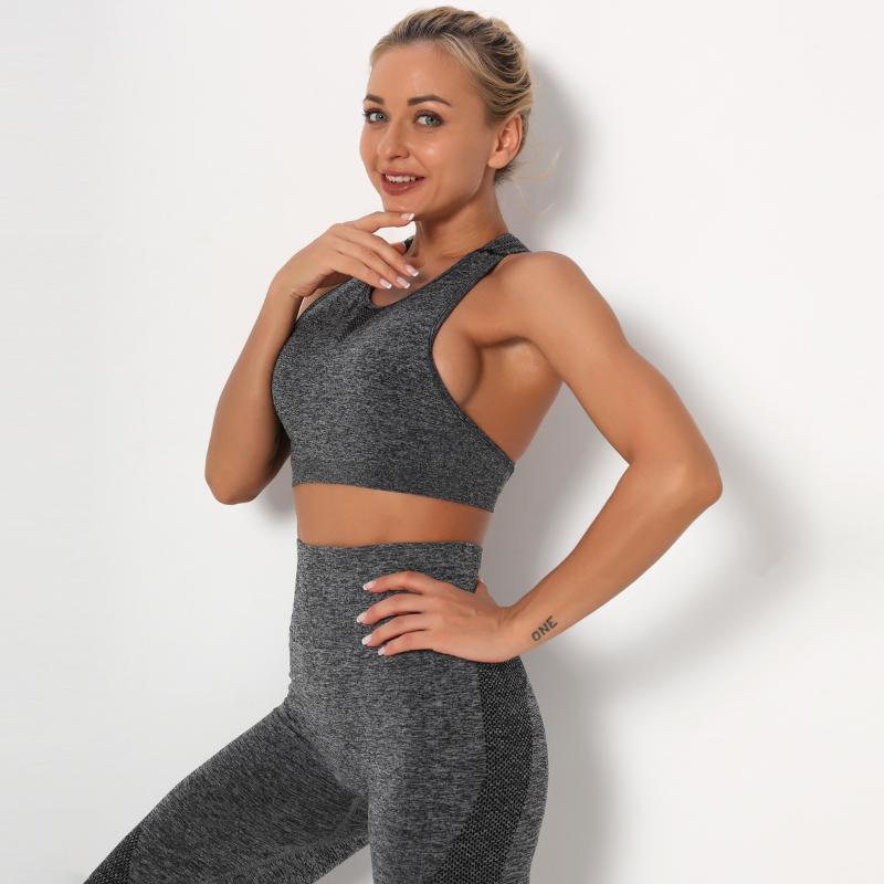 

Hipsterme Women Vital Seamless Sport Bra Push Up Sports Bra Workout Bras Sports Wear for Women Gym Fitness Sportswear Mujer Top1, B204005