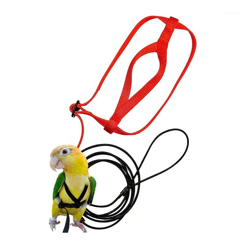 

Pet Bird Harness and Leash,Adjustable Parrot Bird Harness Leash - Pet Anti-Bite Training Rope Outdoor Flying and Leash(X1