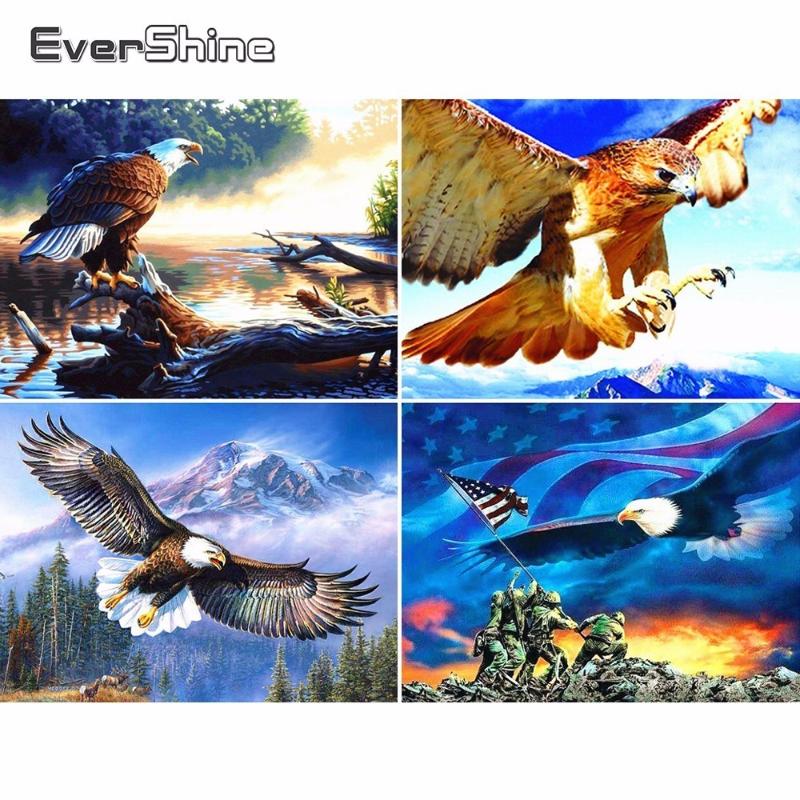

Evershine 5D Diamond Embroidery Full Display Eagle Diamond Mosaic Sale Birds Rhinestones Pictures Painting Beadwork