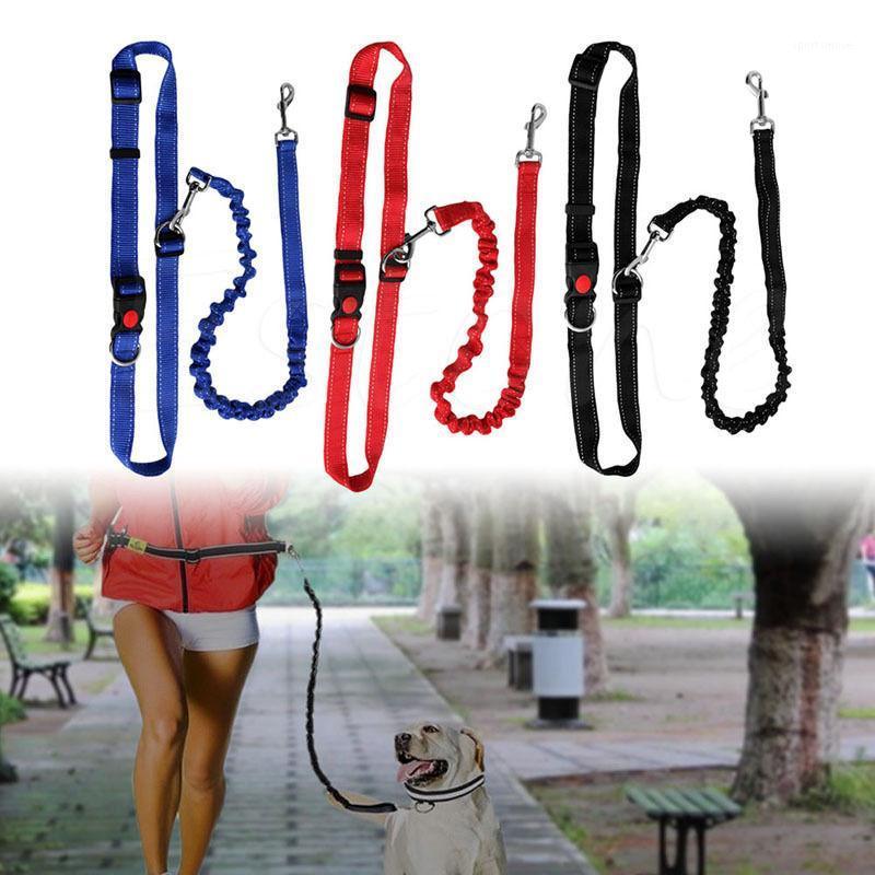 

Pet Training New Adjustable Hands Free Leash Dog With Waist Belt For Jogging Walking Running1