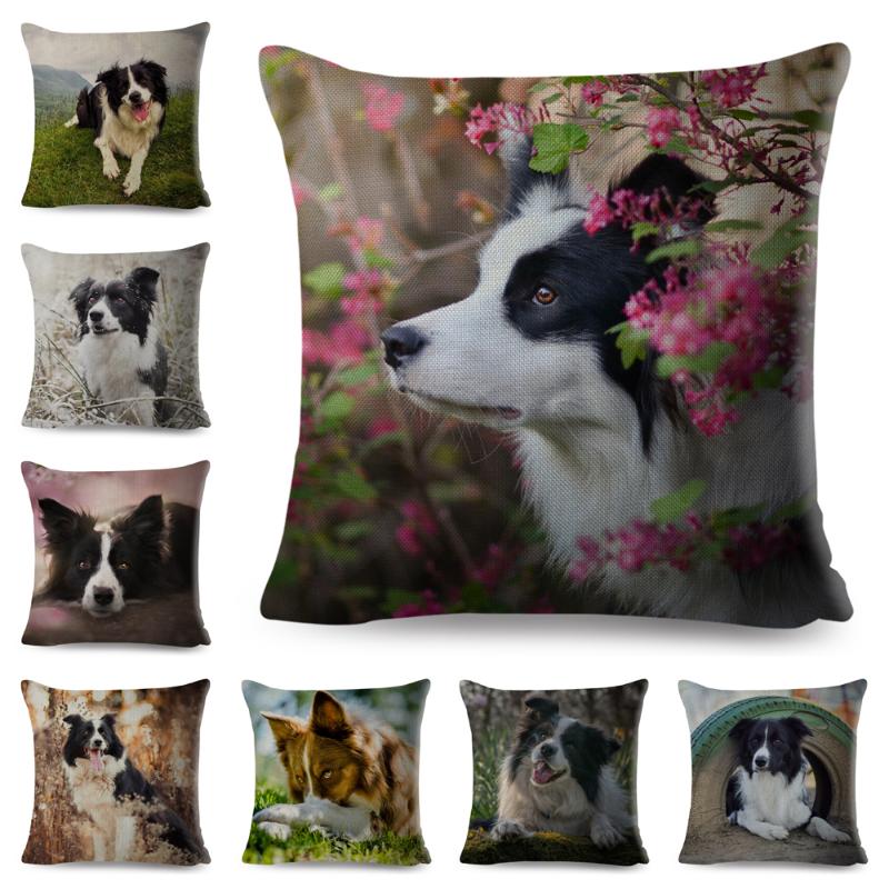 

Scotland Border Collie Dog Cushion Cover for Sofa Home Car Decor Cute Pet Animal Dog Printed Pillowcase Linen Pillow Case 45*45