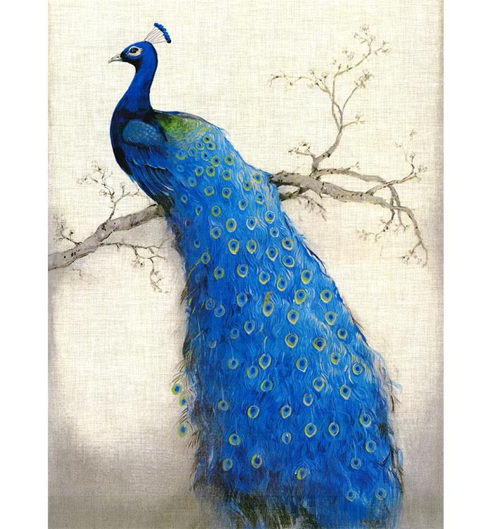 

DIY 100% Mulberry Silk Suzhou Embroidery Sets Printed Patterns Needlework Kits, Blue Peacock