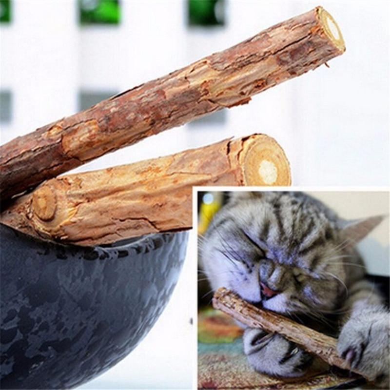 

5PCS/Set Pet Cat Kitten Chew Stick Toy Catnip Molar Actinidia Fruit Matatabi Cat Sticks