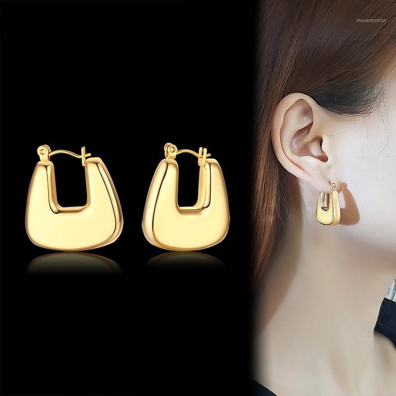 

Geometric Women's Flat Hoop Earrings Fashion Puffed Cushion Stainless Steel Earrings Jewelry1