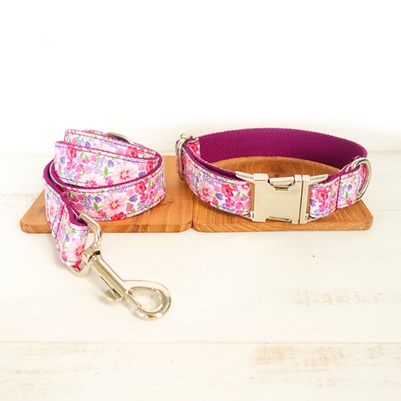 girly dog collars