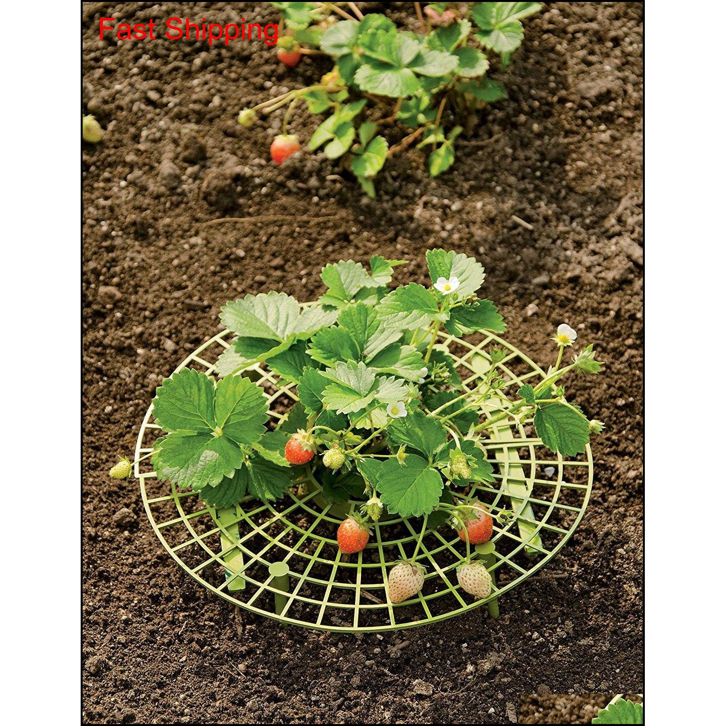 

Strawberry Supports Keeping Fruit Elevated To Avoid Ground Rot Plant Support With 4 Sturdy L qylFOm new_dhbest