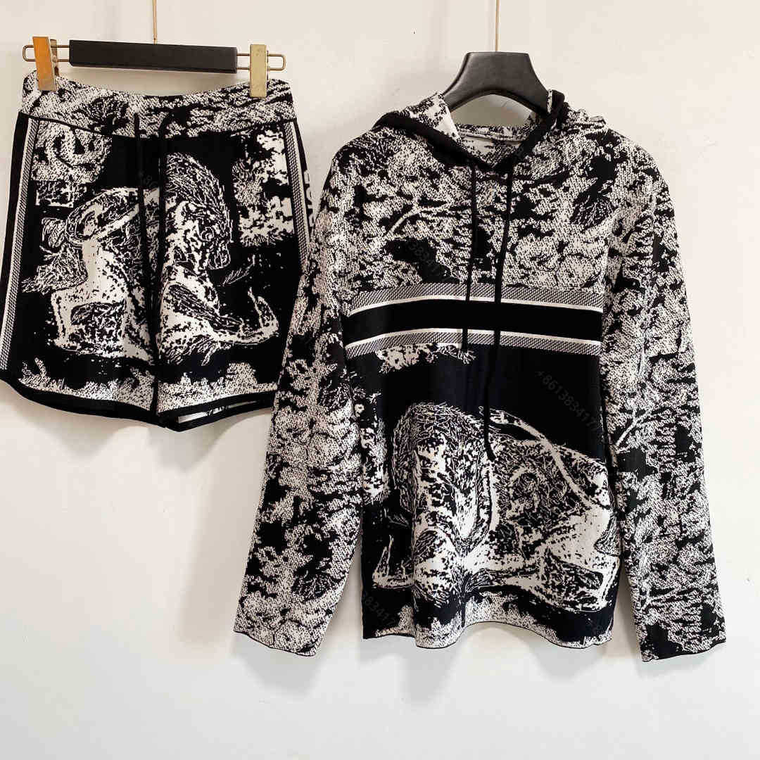 

Fashion CD designer women knit hoodies set winter knitted hooded weatshirt Round neck wool knitting long sleeve sweaters jackets design, Supplementary price difference