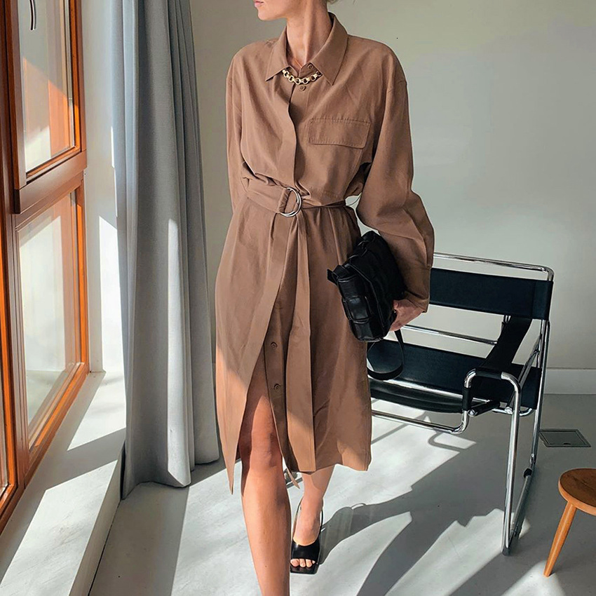 

2021 New Women Autumn Belt Long Sleeve Shirt Winter Turn-down Collar Single Breasted Work Elegant Office Ladies Vestidos Gyxt, Brown