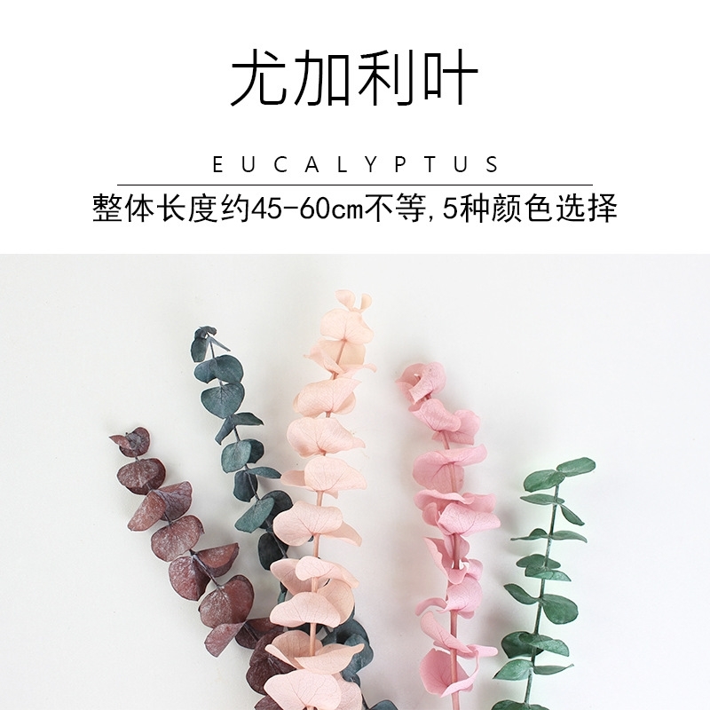 

Yunnan Kunming Yongsheng eucalyptus leaf shooting props decoration tongqian'an natural plant flower products