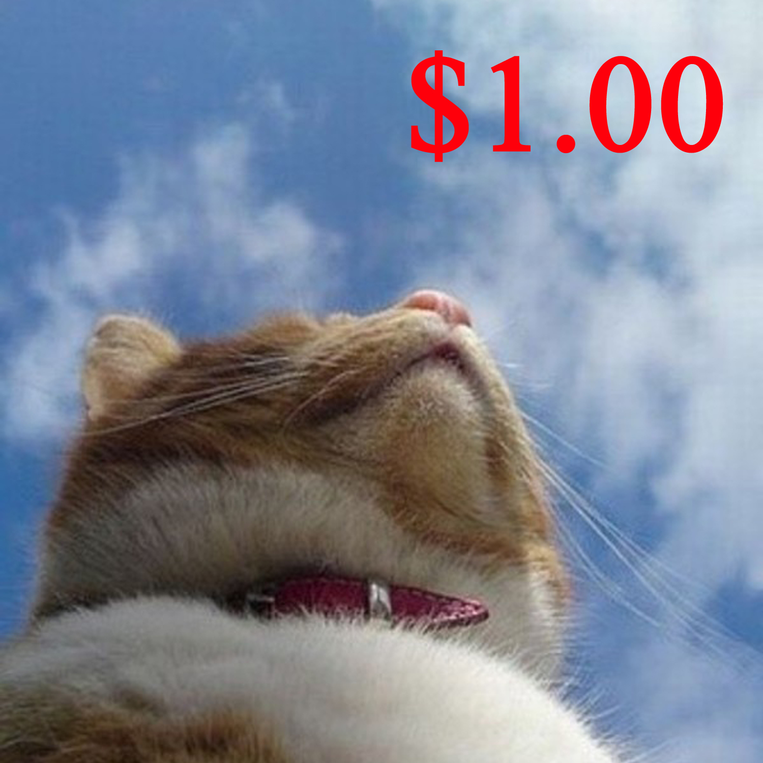 

Making up price difference, please follow the seller's instruction