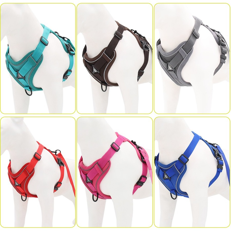 

Adjustable High Reflect Light Waistcoat Mesh Breathable Harnesses Leash Set Walk dogs leashes pet Supplies red blue will and sandy