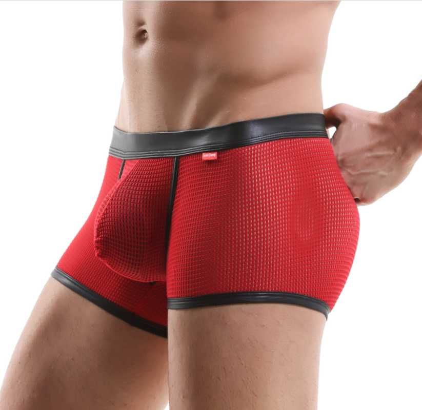 

Underpants Men' Mesh Transparent Boxer Low Waist Ultra-thin Ice Silk Sexy Breathable Underwear Mens Men