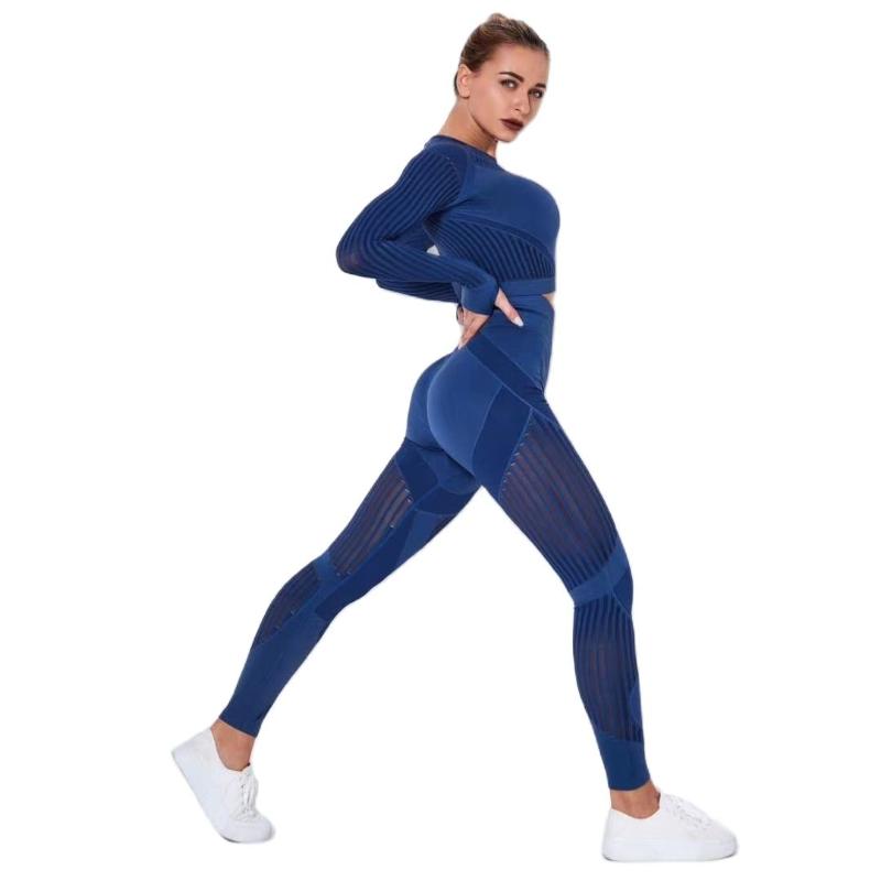 

Women's Two Piece Pants Women Seamless High Waist Gym Mesh Leggings Shirts Suit Long Sleeve Fitness Workout Running Thin Sport Sets, White