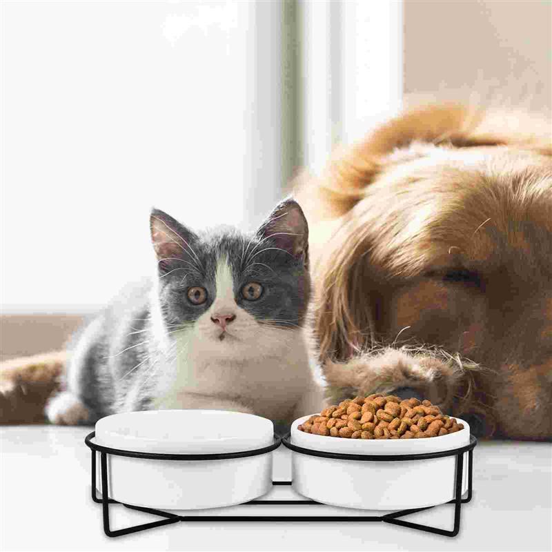 

Cat Bowls & Feeders 1 Set 2pcs Dog Pet Water Drinking Dishes With Stand