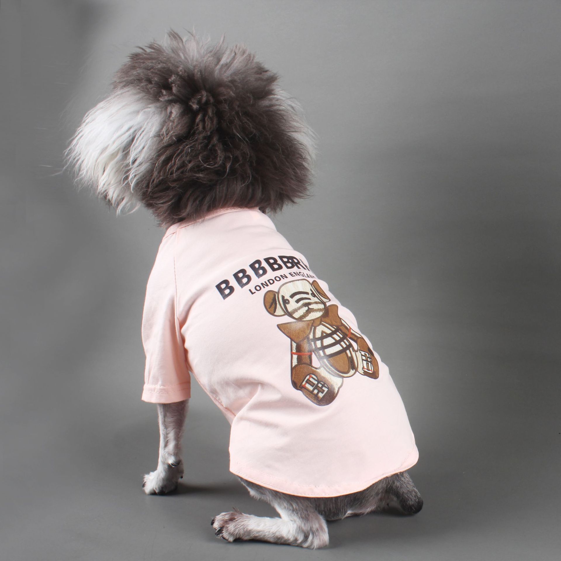 

Bear Pattern Pet Costume Pure Cotton Pet Dog Clothes Spring Summer Outdoor Sports Pet Dog Clothing
