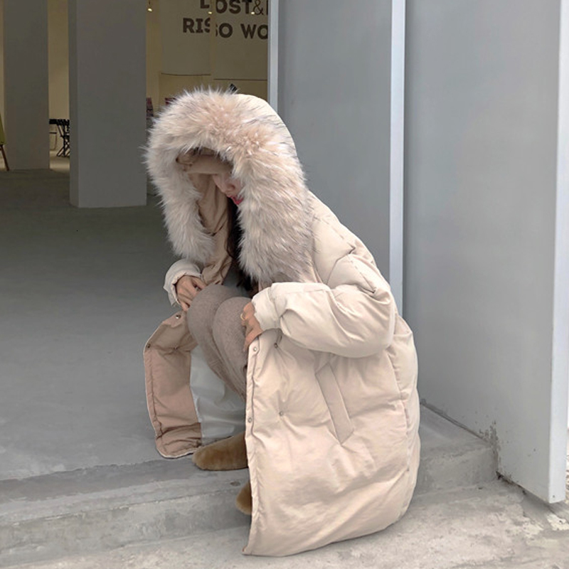 

2021 New Cotton Padded Parkas Winter Thick Warm Women Jackets Outerwear Long Coats Female Fur Collar Hooded Overcoat Student Ui8s, Beige