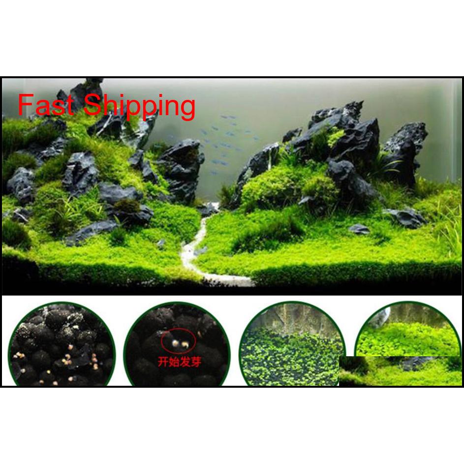 

Wholesale Garden Fish Tank Aquarium Plant Seeds Aquatic Water Grass Ornamental Plant Home Yard Decorat qylMbI toys2010
