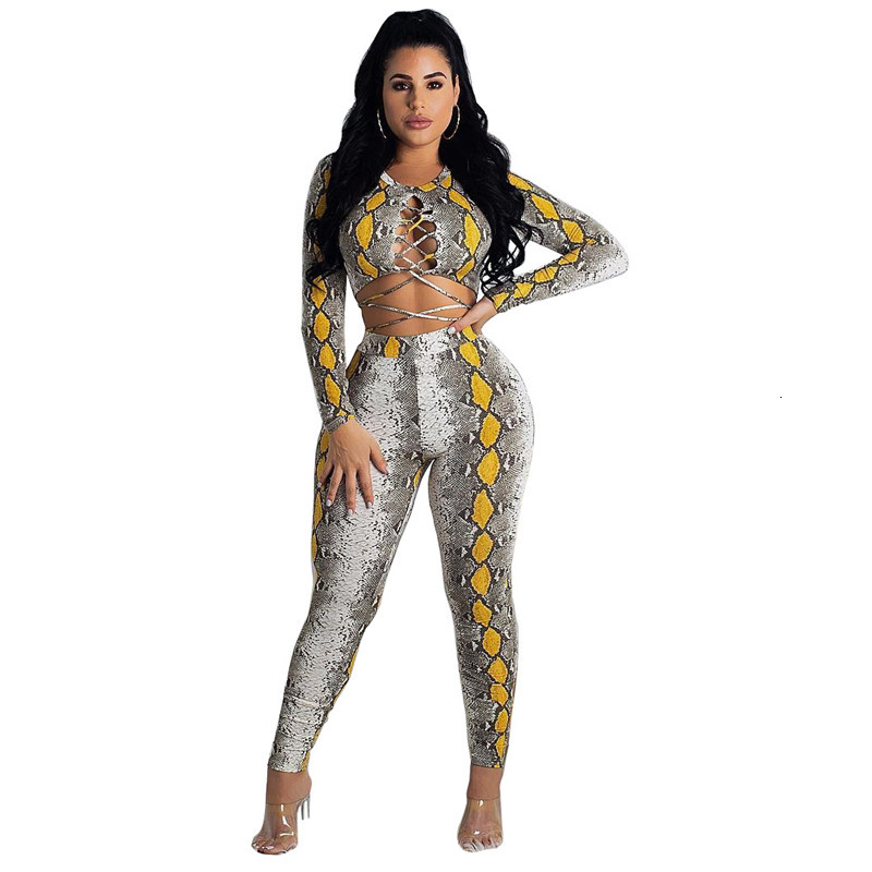 

2021 New Snake Print Sexy Set Long Sleeve Lace Up Crop Top and Pant Suit Club Party Matching Sets 2 Piece Outfits for Women Ziru, Beige